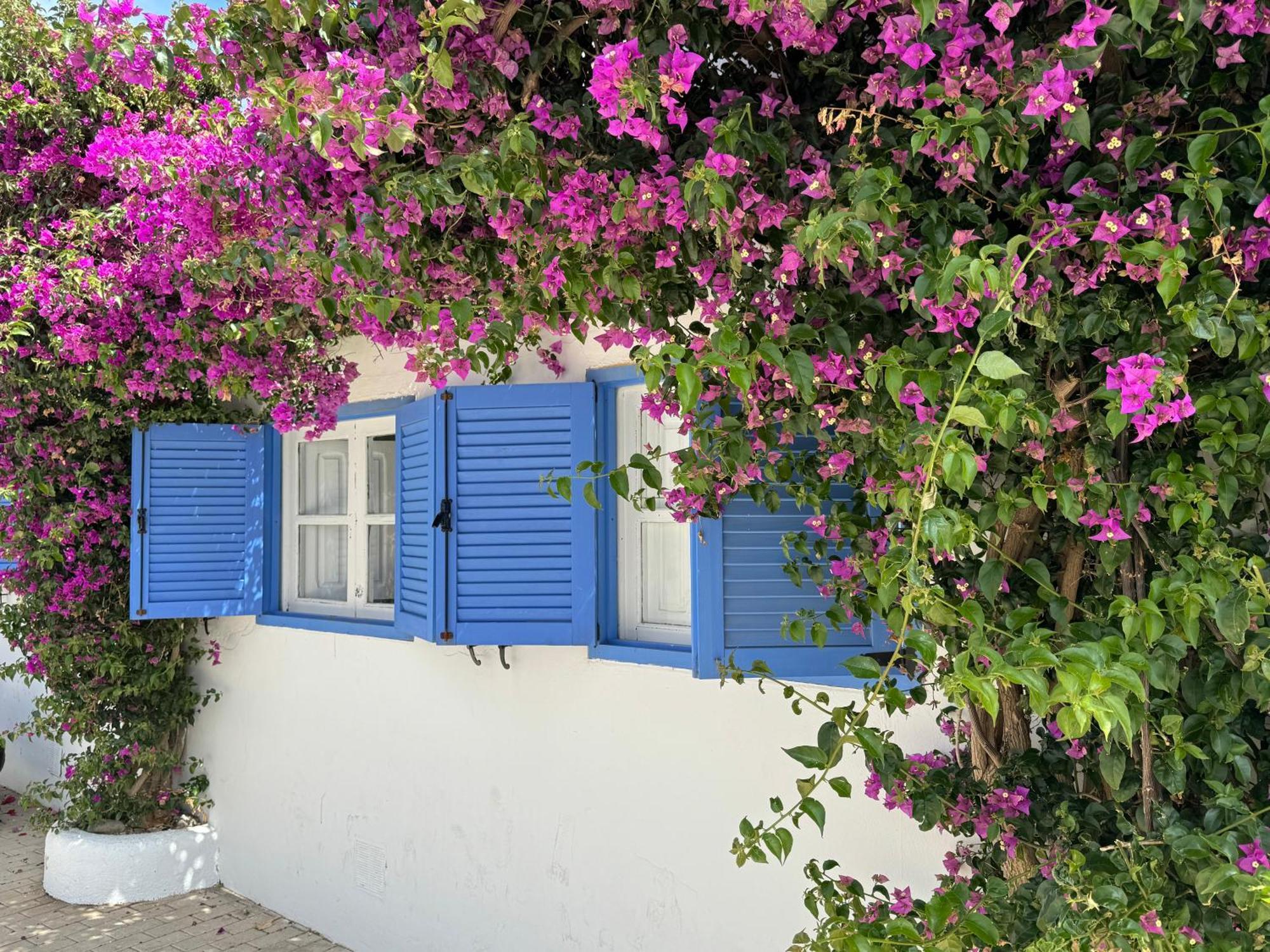 Casa Mellis Aguamarga Apartamento Agua Amarga  Exterior foto